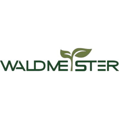 Waldmeister
